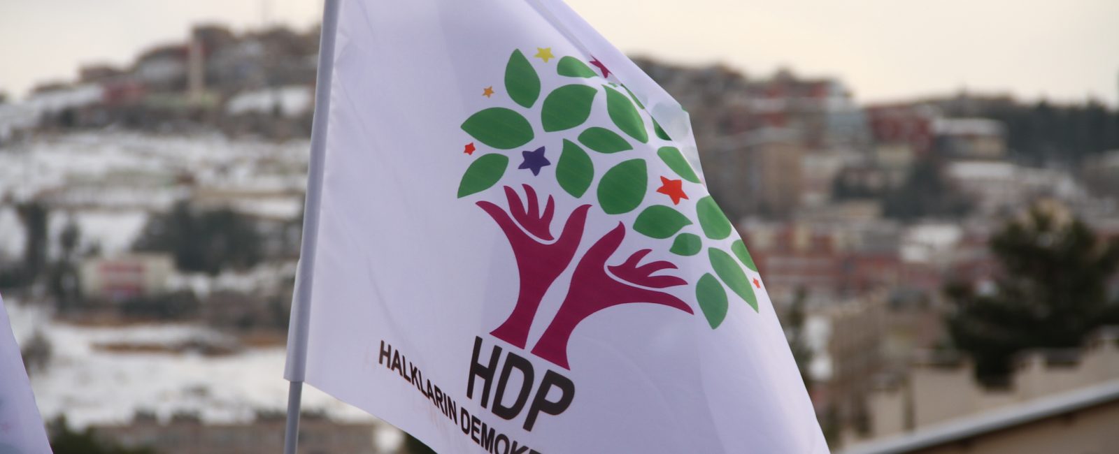 Hdp