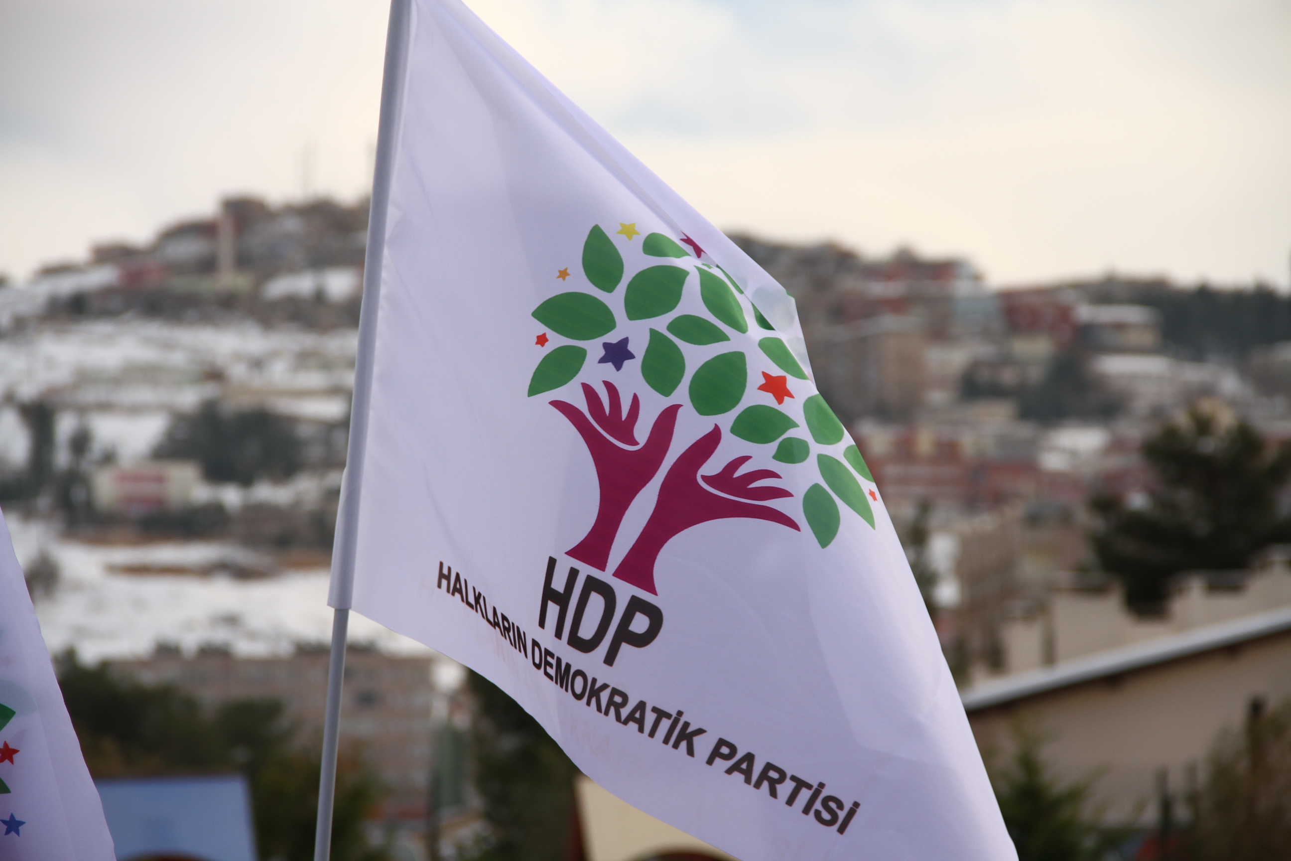 Hdp