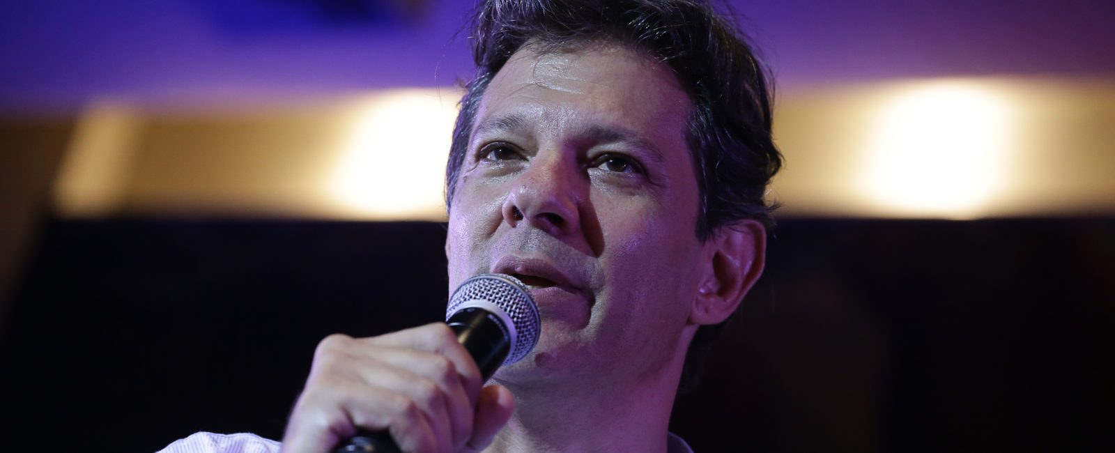 Haddad bresil