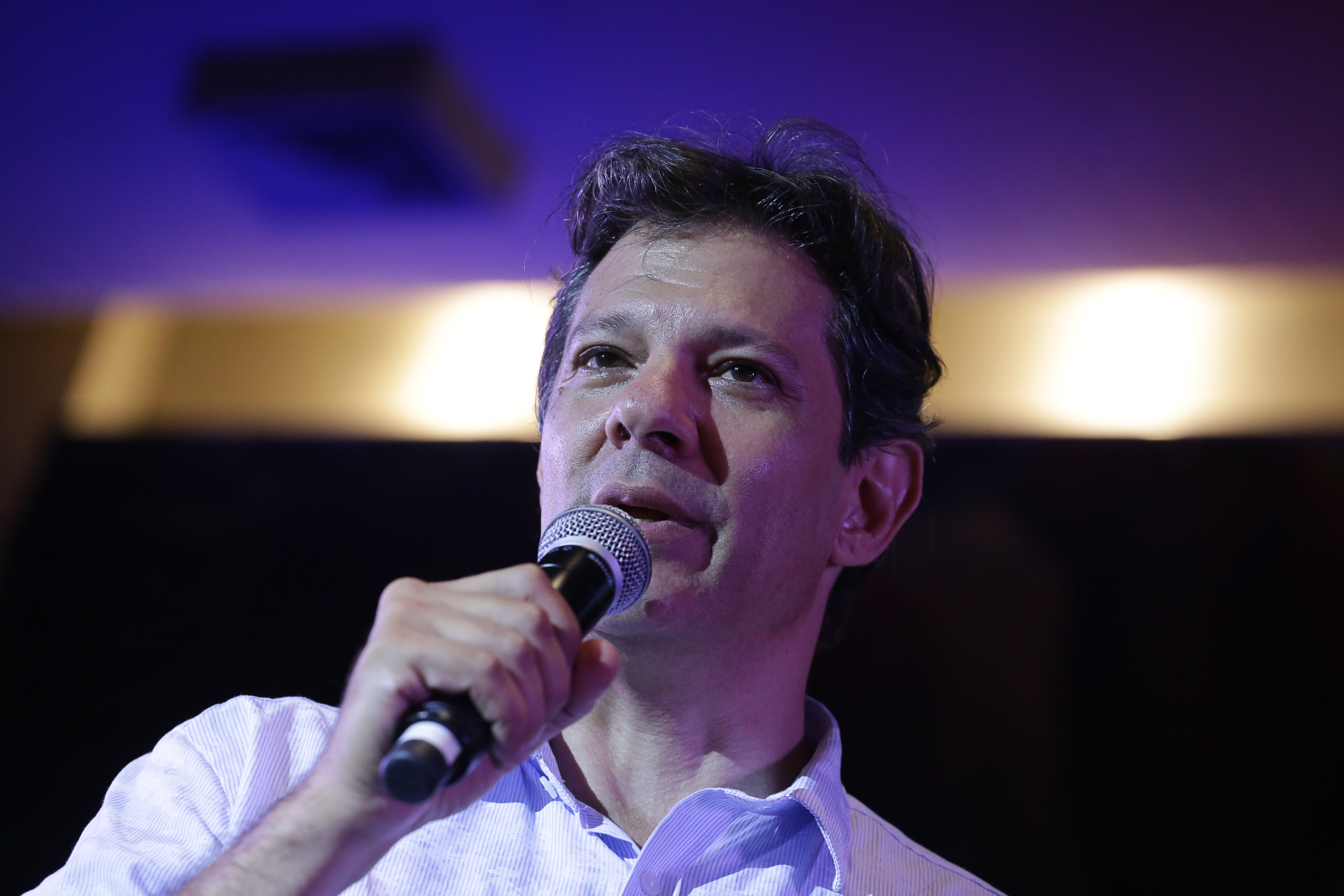 Haddad bresil